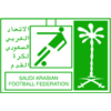 沙特阿拉伯青年联赛