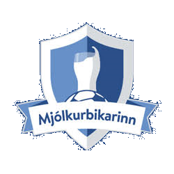 Icelandic Cup