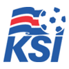冰岛乙logo