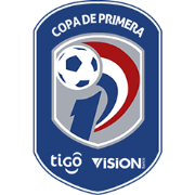 PAR Primera Division Selected Image