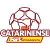 BRA Campeonato Catarinense Division 1 Selected Image