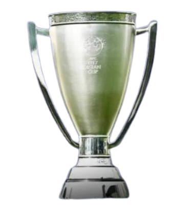 U17亚洲杯冠军