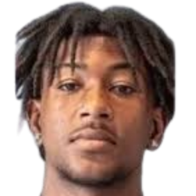 赫尔默·海莱诺·塔瓦雷斯·博尔赫斯