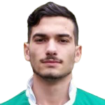 多梅尼科·鲁吉里