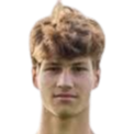 克林特