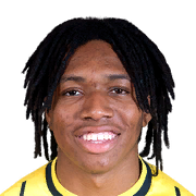 约书亚·约翰逊