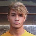 亚历山德罗·基鲁宾