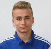 拉杜·莫特里努