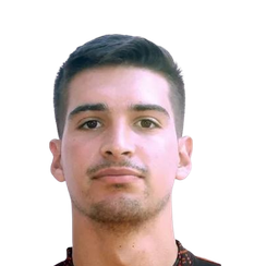 里卡多·贝托基