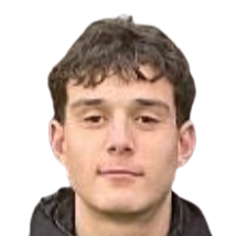 路易斯·马里努奇