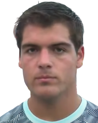 埃内斯托·卡莱