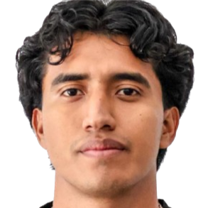 甘地·尼古拉斯·曼萨纳雷斯·马图斯