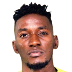 阿辛比西布韦​​