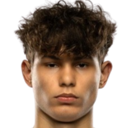 亚历山大·维加诺夫斯基