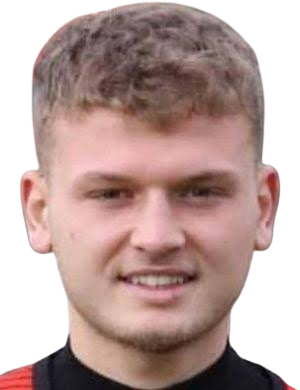 伊格博尔·贾沙里