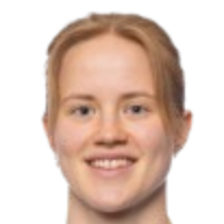 切塞利·梅尔德