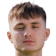 阿尔廷·拉吉奇