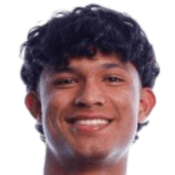 里卡多·林科内斯