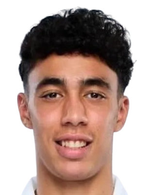 苏莱曼·哈达迪·穆罕默德