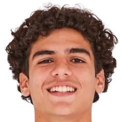 丹尼尔·巴迪略·苏萨