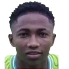 艾默生·维韦罗斯