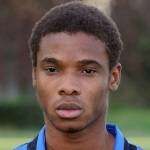 威尔弗里德·格努科里