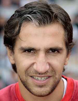 大卫·利纳雷斯