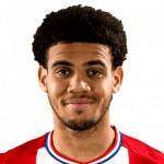 安德鲁·切迪厄