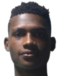 法比安·查韦拉