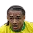 Y.E.Arabi