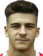 丹·埃米利安·内库