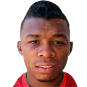 乔阿霍·海内斯特罗扎