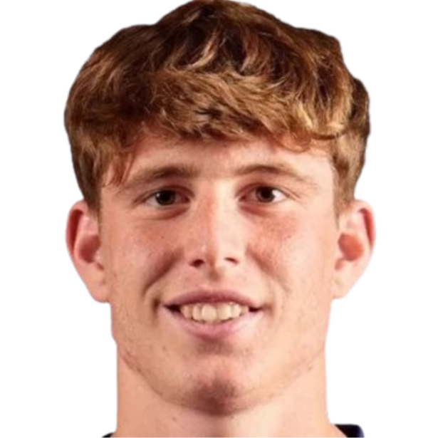 P. 戈斯波迪诺夫