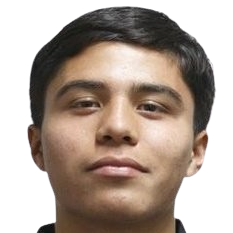F.M.G.Flores