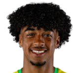 西奥多·阿德鲁西