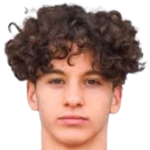 洛夫罗·切尔菲