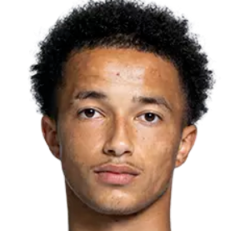 埃米尔·杜库尔