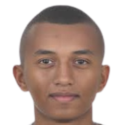 内德·奥斯皮纳