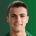 皮埃尔·弗朗切斯科·贝托利