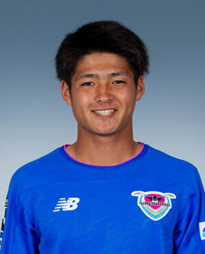 本田风智头像