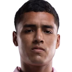 大卫·阿尔瓦拉多