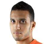 泰默·埃尔齐伯