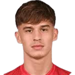 博格丹·米尔塞蒂奇