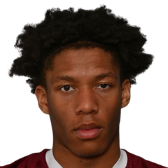 维克多·恩尼姆