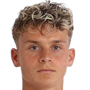 伊布拉希莫维奇