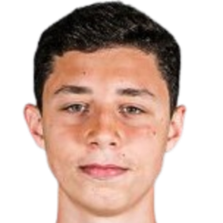 埃菲汉·佩克德米尔