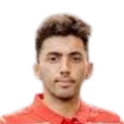 埃姆雷·比尤卡皮纳尔