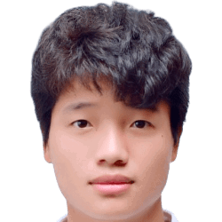 费明龙