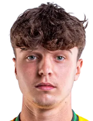 米沃什·斯瓦托夫斯基