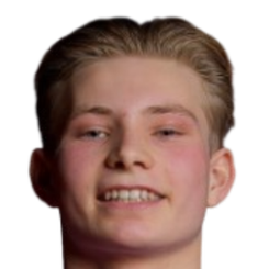 利安德·斯卡默尔斯鲁德